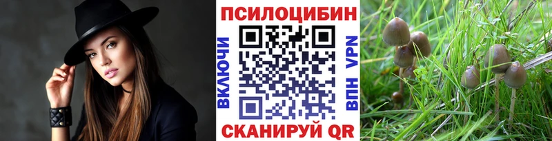 Галлюциногенные грибы Cubensis  Бежецк 