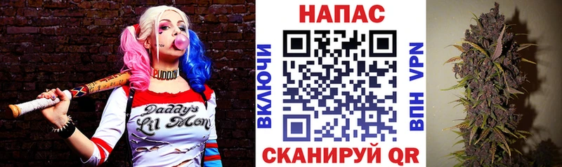 Шишки марихуана гибрид  Бежецк 